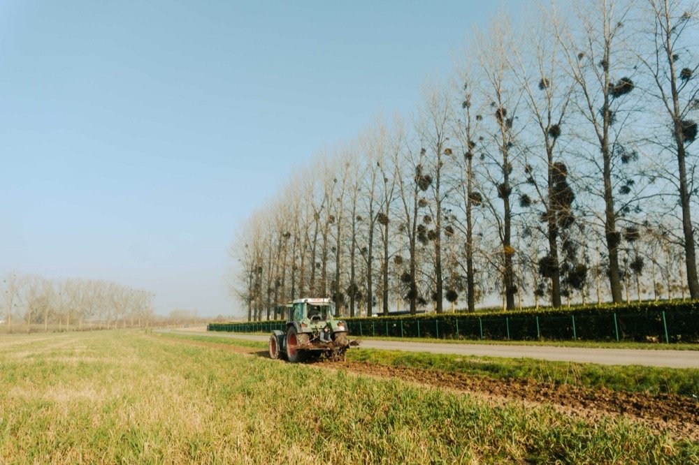 Plantation et aménagement extérieur — CARTDESIGN