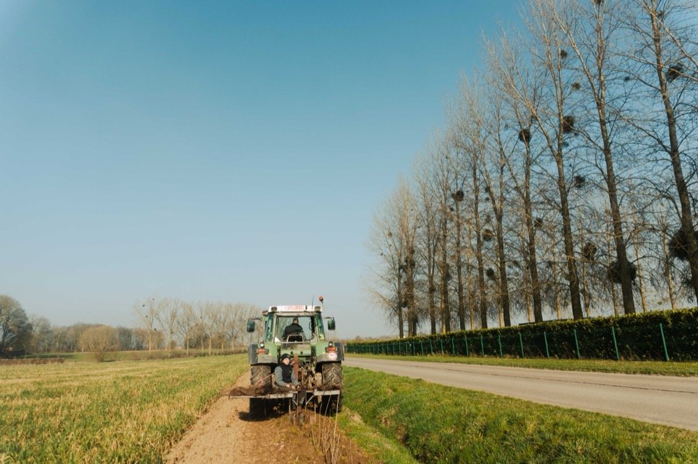 Plantation et aménagement extérieur chantier écologique — CARTDESIGN rénovation durable